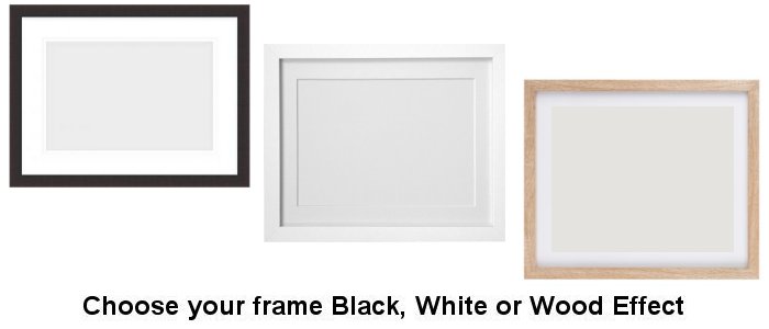 Select Your Frame